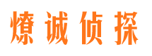 舞阳调查事务所